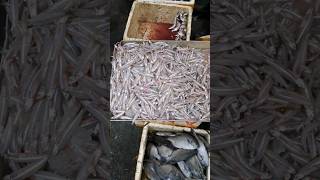 Amazing fishing village fish market sriLanka?? shorts