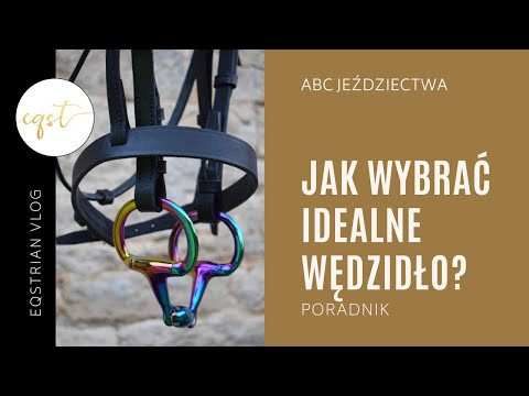 JAK WYBRAĆ IDEALNE WĘDZIDŁO? | Rodzaje i funkcje wędzideł