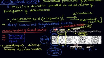 Sound Waves are Longitudinal Waves and its Properties | Class 9 Physics Sound