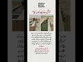 اونٹنی نے ایسے کیوں کیا؟ حیران کن سبق | اسلامی واقعہ | صبر اور شکر کی حقیقت