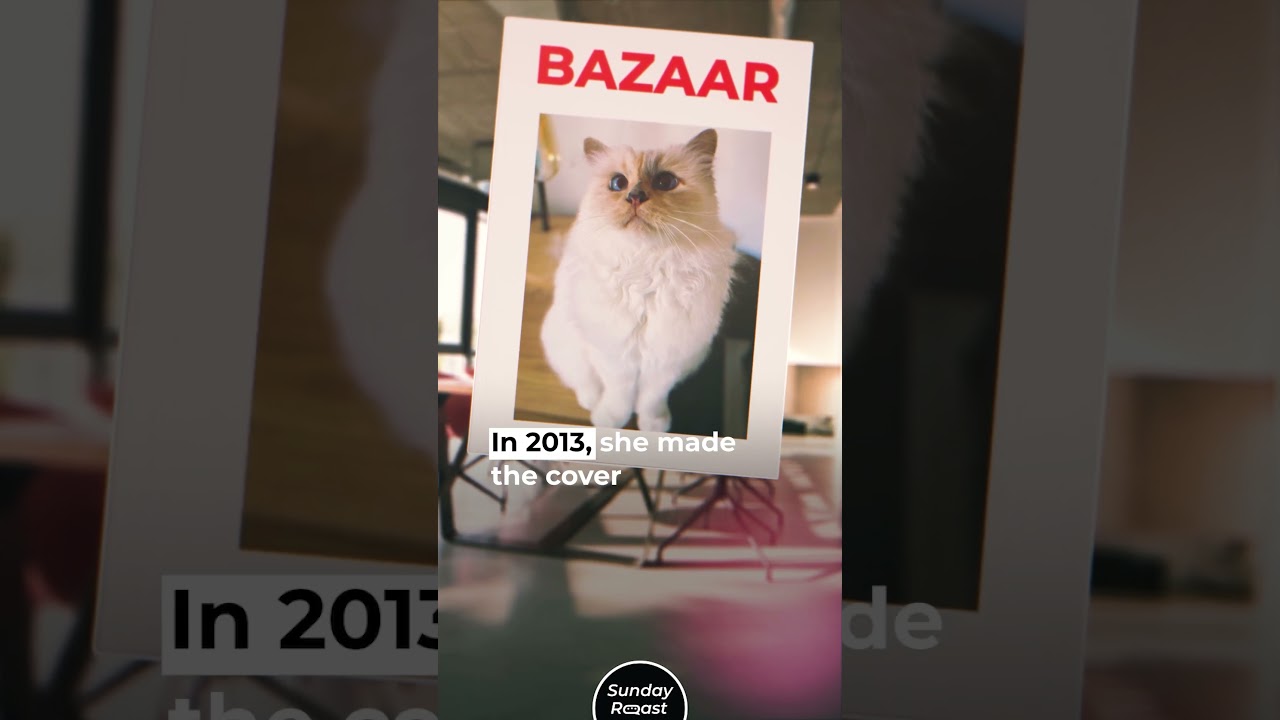 Karl Lagerfeld's Beloved Cat Choupette Celebrates Birthday on Private Jet