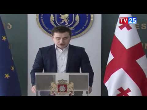 ქართველი ხელოვანი ავსტრიიდან