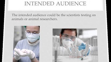 Visual Argument Presentation