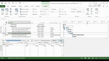 Task form and resource form in Microsoft Project