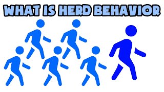 What is Herd Behavior | Explained in 2 min