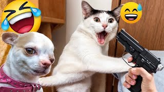 Best Funny Animals 2024 😍 Funniest Dogs and Cats 😻🐶