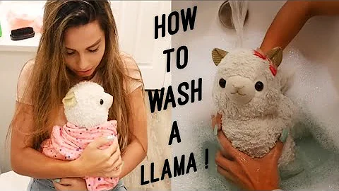 Giving My CRAZY Lil Llama A BATH!!