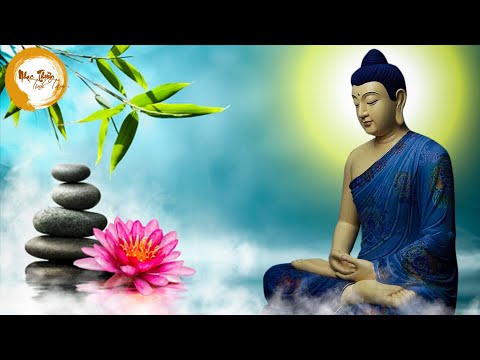 Nhạc Thiền - Nhạc Thiền An Nhiên Tự Tại, Âm Nhạc Chữa Lành Tâm Hồn, Bình Yên Mỗi Ngày - RẤT HAY