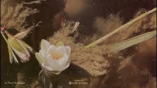 Lé Passe Nostalgiqué | Nostalgic music dreams