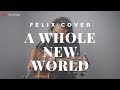 A Whole New World Zayn Zhavia ( Felix Irwan Cover )