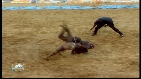 CHUTE DE L'ANNÉE SIGNÉE ADA FASS - QUELLE TECHNIQUE