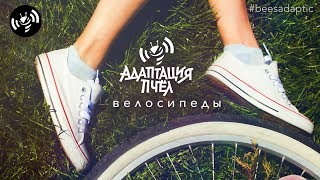 картинка: Велосипеды - Адаптация Пчёл | Beesadaptic