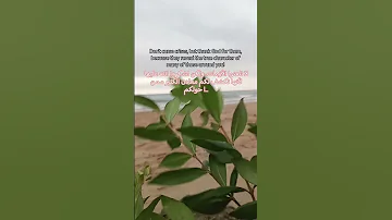 لا تلعنوا الأزمات ولكن اشكروا الله عليهالأنها تكشف لكم معادن الكثير ممن حولكم 