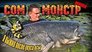 Huge Record Catfish