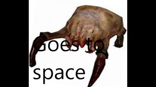 Sending a head crab to space with a bad laptop