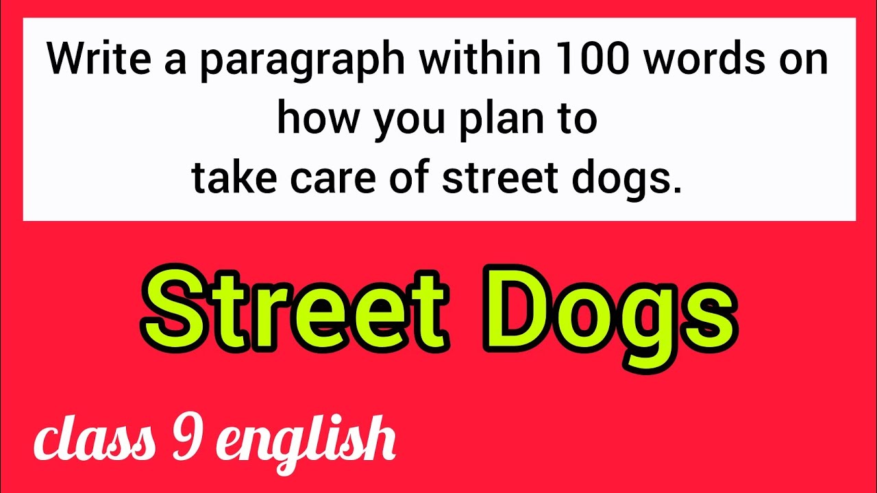 essay on street dog