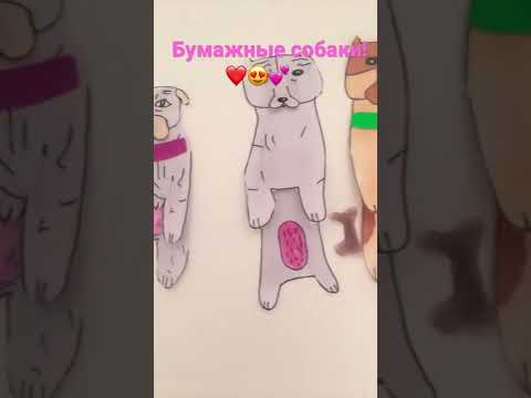 Бумажные собаки из тик тока!!!!!😍😁😊🤪💗 - YouTube
