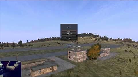 DayZ Standalone Seagull Bug