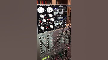 Division 6 Dual Mini Sequencer factory sequencer