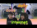 A Bear-y Exciting Daily Dose Of Internet Reaction ft. Chavezz