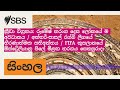 ක්රීඩා විග්රහය: රුමේෂ් තරංග දෙස ලෝකයේ ම අවධානය / අන්තර්-පාසල් රග්බි ලීගයේ තීරණාත්මක සතිඅන්තය /...