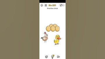 BRAIN OUT LEVEL 221 / Find the chick