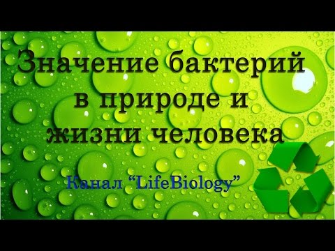 Значение бактерий в природе и жизни человека