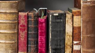 Returned 100-Year-Old Overdue Library Book Has The Perfect Name