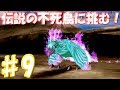 ♯9～伝説の再現へ～[モンスターファーム2] 火山のボス！フェニックスとバトル！　実況プレイ