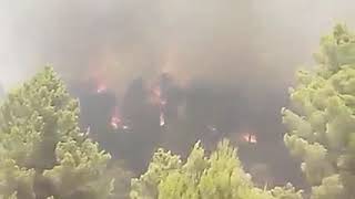 عاجل خنشلة الان عودة الحرائق في واد طامزة وتنتشر بسرعة رهيبة الان