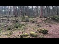 Capture de la vidéo Aokigahara Jukai Bosque Suicida