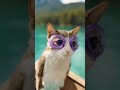 Cute 🥰🥺 Meowl Swimming part 2 #meowl