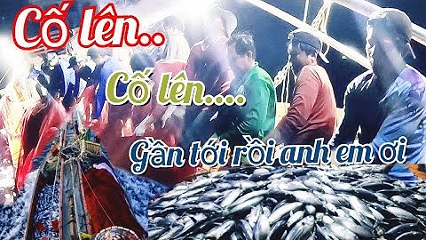 Bầy cá khủng, phút 90 hết giờ rồi, cố lên | Đánh cá 2025 - Tập10 | Sóng biển Hứa Đông