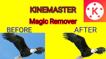 Use of Magic Remover in Kinemaster app | Image or Video Background Remover