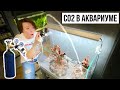 ЗАПУСК АКВАРИУМА 60 л | Система СО2 | АКВАСКЕЙП | Фильтр OASE FiltoSmart