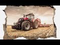 New „rabbit hole” making out of scrap. #animals  #cute  #farm #diy