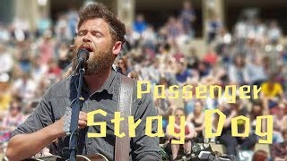 ⭐⭐⭐ Passenger - Stray Dog