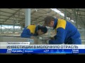 Французы вкладывают €1 млн в молочную ферму в Павлодарской области