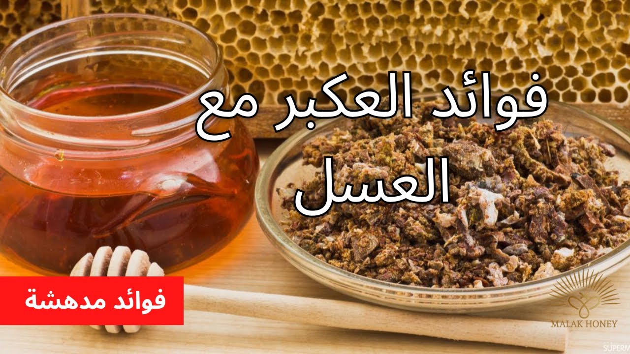 العكبر العسل فوائد مع ماهو العكبر؟