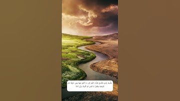 41 42 43 سورة الكهف | الايات