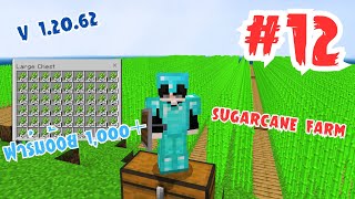 Minecraft BE | ทำฟาร์มอ้อย 1,000บล็อค + EP12