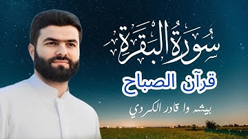 قرآن الصباح🌼🌞 سورة البقرة كاملة | الشيخ بيشه وا الكردي