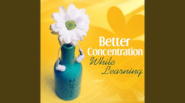 String Quartet No. 11 in E Major, Op. 125 No. 2, D. 353: I. Allegro con fuoco