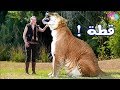 مخلوقات عملاقة تعيش علي كوكب الأرض ولم يشاهدها الا القليل