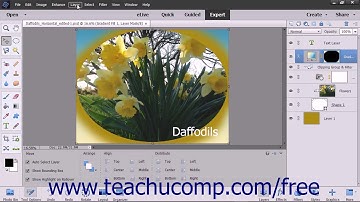 Photoshop Elements 15 Tutorial Adjustment Layers and Flattening Layers Adobe Training