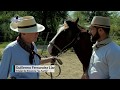 Bien Argentino - Programa 33 - Criadero de Caballos Criollos "La Sarita"