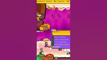 Mario and Luigi Bowser