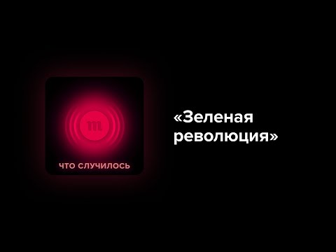 Весь мир внедряет «зеленые» технологии, а Россия медлит. Почему?