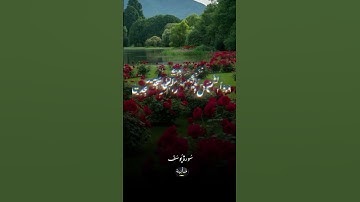 سورة اليوسف _ Surah Al Yusuf #اكسبلور #المصحف