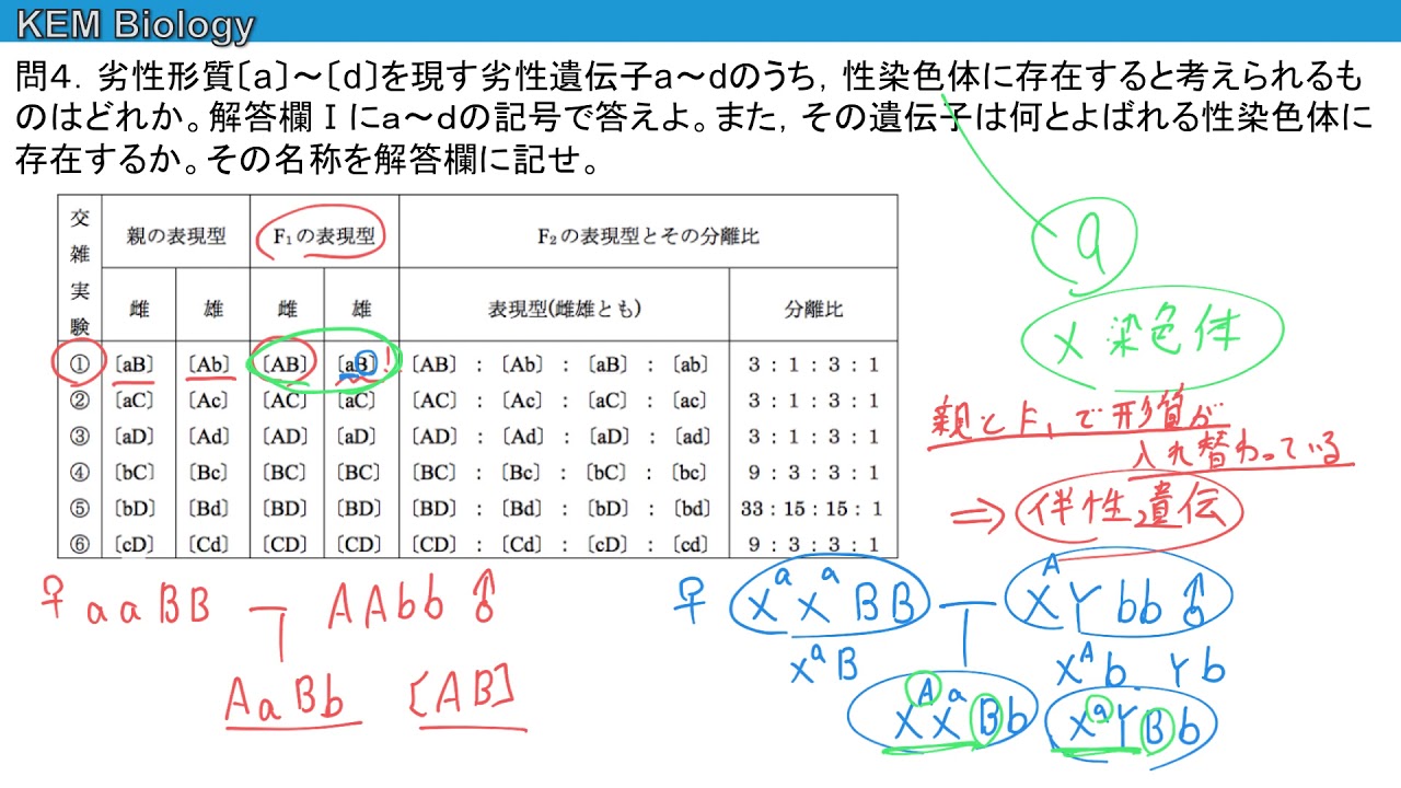 高校生物 東京慈恵会医科大学03大問2 性決定 遺伝子雑種 Youtube